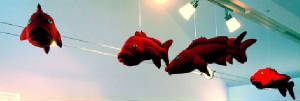 shirley_red_snappers_web.jpg